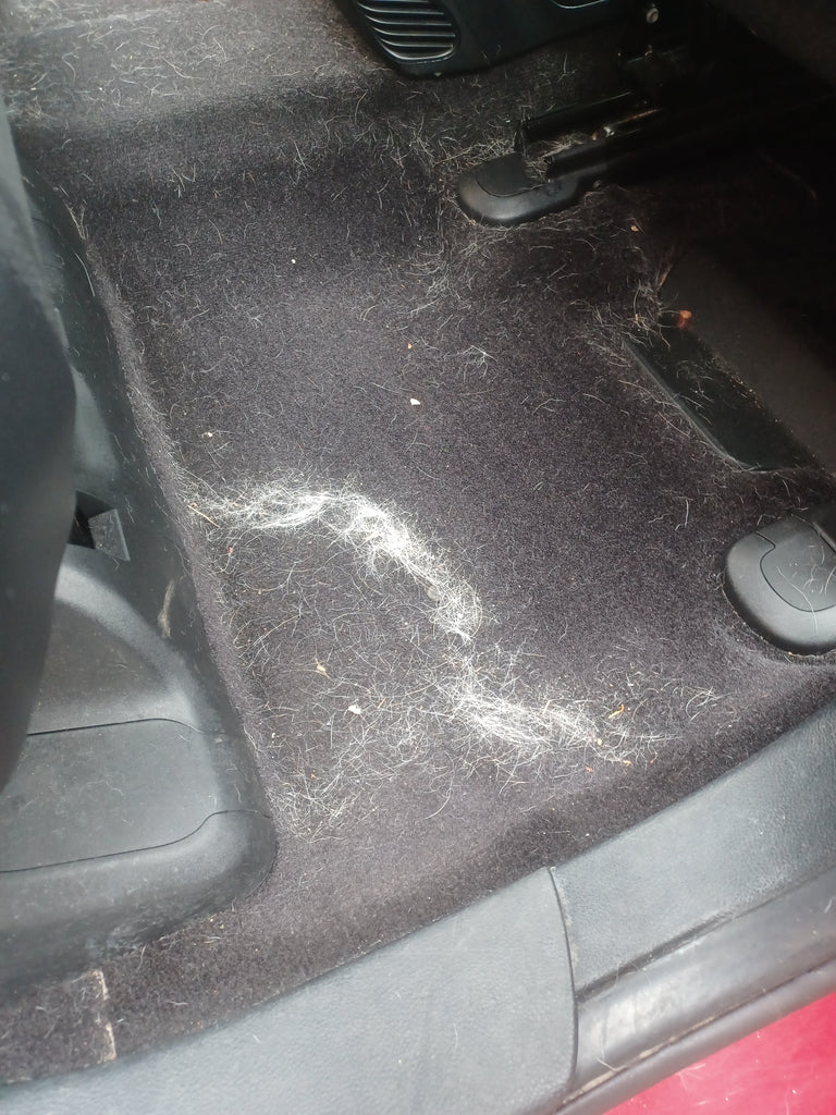 We will be the dog groomer for your car