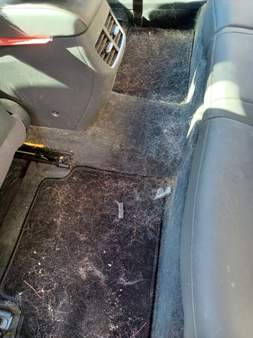 car back interior seats with dog hair removal